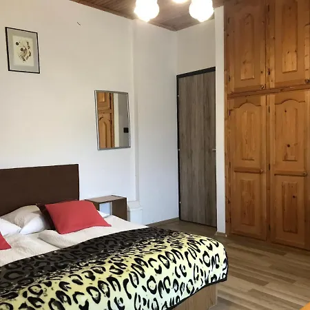 公寓 Berki Margit *